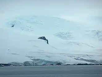 Blick von der English Strait auf den Rousseau&nbsp;Peak oberhalb der Eismassen des Fuerza-Aérea-Gletschers mit der Arturo-Prat-Station im Vordergrund
