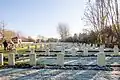 Royal Irish Rifles Cemetery
