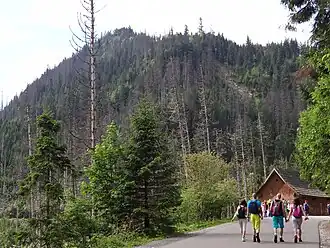 Blick vom Weg Droga Oswalda Balzera