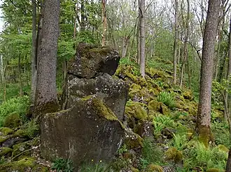 Basaltblöcke am Ruheberg