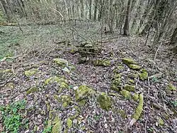 Waldboden mit vermosten Steinen zeigen die letzten, kaum sichtbaren, Spuren der Altenburg