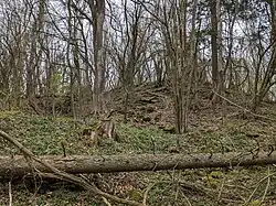 Hügel im Wald (Frühjahr, ohne Laub) auf dem die Altenburg früher stand und ohne sichtbare Überreste.