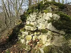 Mauerreste Ruine Spitzburg