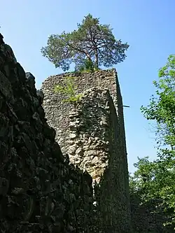 Ruine Weissenau