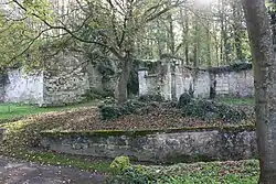 Ruinen des Schlosses