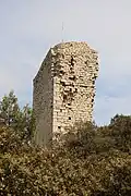 Turm der Burgruine