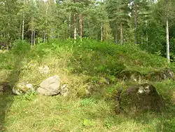 Grabhügel auf dem Gräberfeld