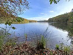 Blick vom Südufer der Neyetalsperre