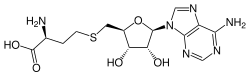 Strukturformel von S-Adenosylhomocystein
