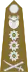 Generalleutnant