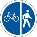 R113: Getrennter Geh- und Radweg (Radweg links, Gehweg rechts)