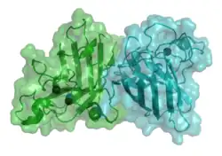 Superoxiddismutase