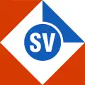 SV Motor (1989–1993)