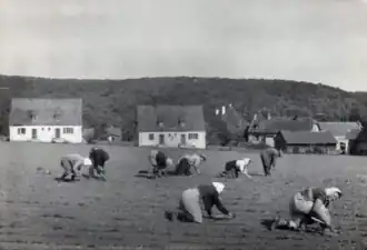 Gutshof (rechts) und zwei Arbeiterhäuser