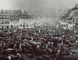 Viehmarkt im 19. Jahrhundert