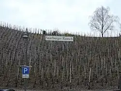 Sommer und Winter am Weinberg „Saarburger Rausch“