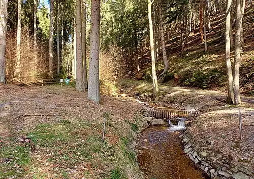 Zufluss Saarscher Bach