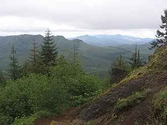Saddle Mountain bei Astoria in der Northern Oregon Coast Range