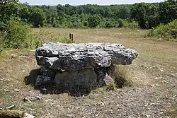 Dolmen von La Palein