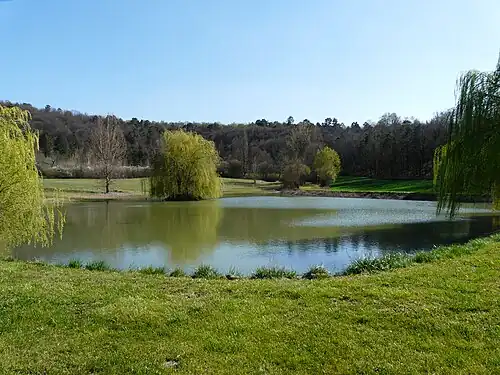 Weiher südlich des Ortskerns