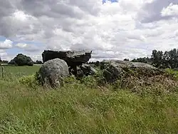 Allée couverte von Rocher Jacquot