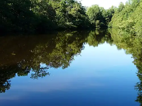 Der Weiher Étang du Grenier