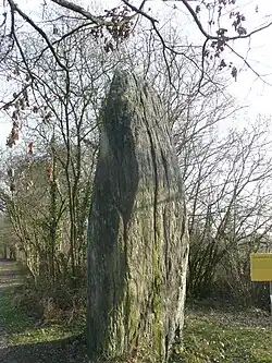 Menhir von Pierrefrite
