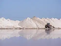 Saline am Dry Creek, Adelaide