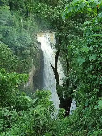 Saltillo quebra Inanéa