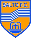 Abzeichen des Salto FC