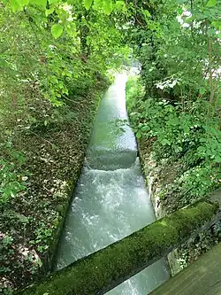 Städtischer Arm kurz vor der Reichenhaller Straße