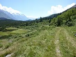 Altes Trassee der ehemaligen Passstrasse