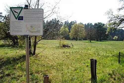 Sandgrasheiden am Elgersheimer Hof