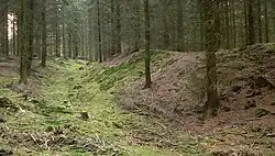 Der dem Wall vorgelagerte Graben, 2015