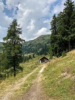 Almhütte der Sattelalm