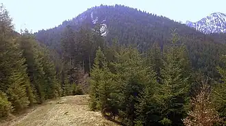 Nordseite des Sattelkopfes