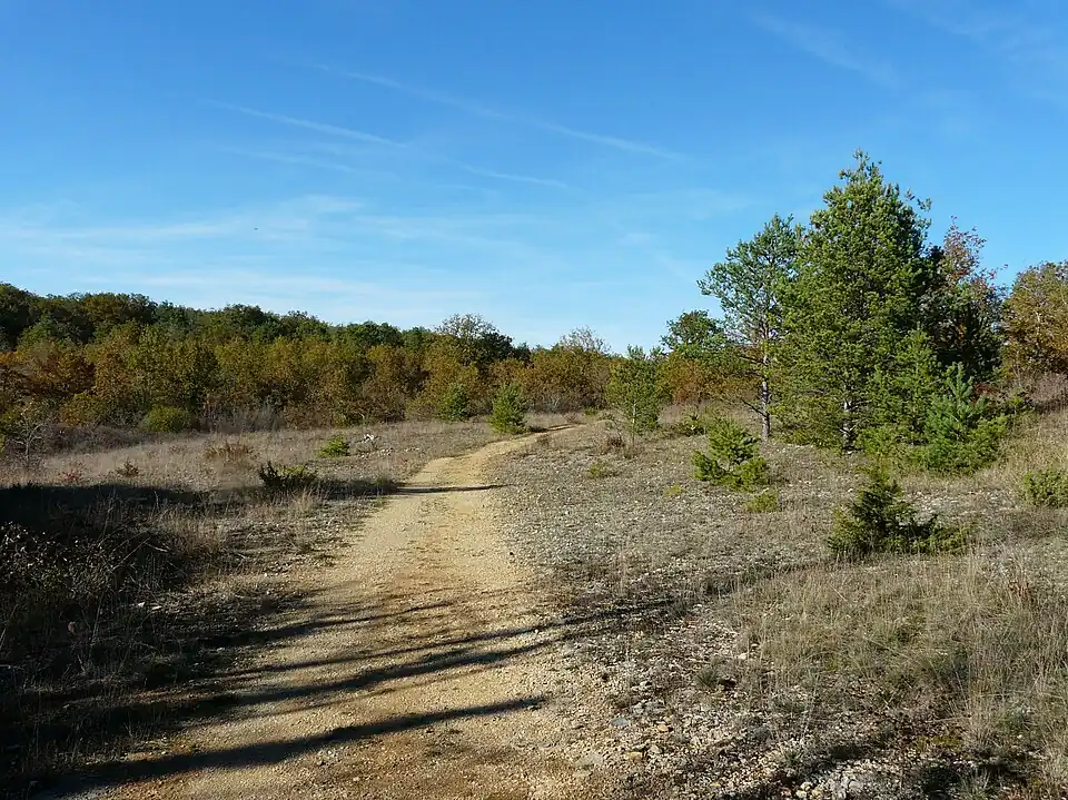 Dito in Savignac-les-Églises