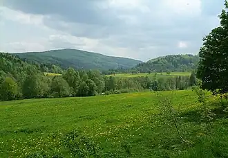 Pěnkavčí vrch von Süden
