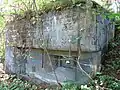 Infanteriebunker Schönenboden 1 A 7203