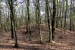 Grabhügel in der Gruppe II