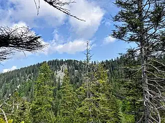 Schattlahnerkopf vom Hinteren Sattelkopf