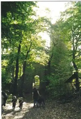 Burgruine Schauenforst