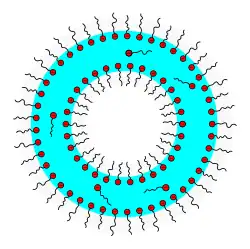 Bildung einer Schaumblase