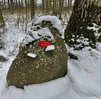 Der Gipfelstein des Scheinberg im Winter 2021