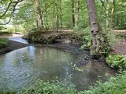 Scherfbach bei Amtmannscherf