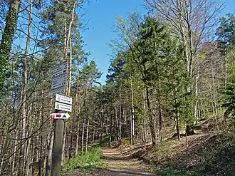 Die GR 53 in der Nähe der Scherhol