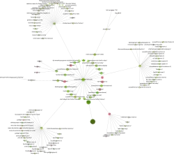 Das Foto zeigt einen Graphen eines Webcrawls einer kleineren Webseite