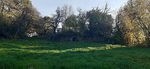 Burgruine Schiffelbach