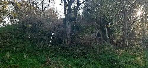 Der Burghügel mit dem Kellereingang