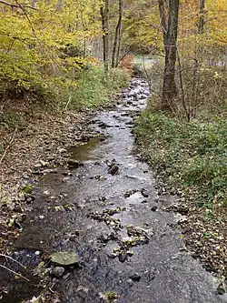 Schildau beim Forsthaus Neckelnberg